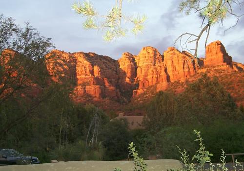Front yard view