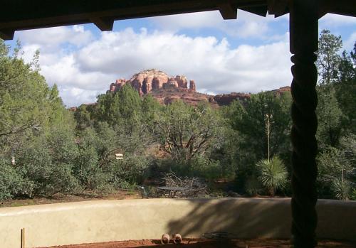 back yard